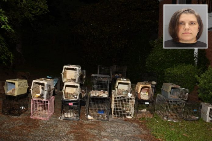 30-dead-pet-dogs,-felines-discovered-in-house-of-south-carolina-animal-rescue-ceo