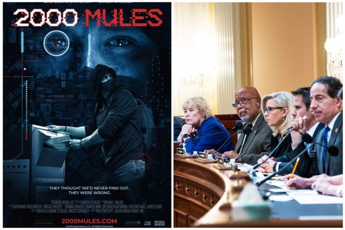 dinesh-d’souza-dares-jan.-6-committee-to-air-his-movie-“2000-mules”-at-public-hearing-and-try-to-refute-it