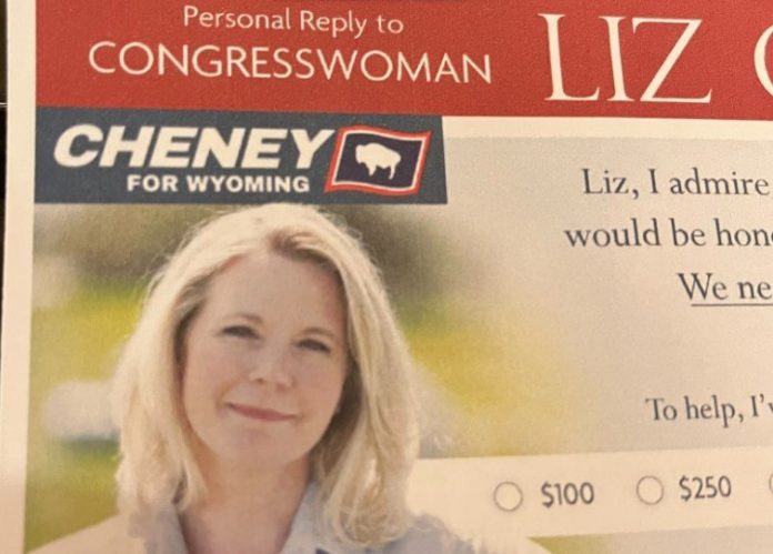 most-current-polls-have-dc-rat-liz-cheney-down-28-points-in-wyoming-house-race–-with-unfavorability-rating-as-high-as-71%