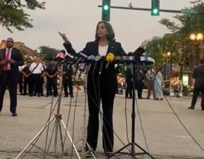 kamala-harris-at-scene-of-highland-park-shooting:-“we-have-to-take-this-stuff-seriously,-as-seriously-as-you-are-because-you-have-been-forced-to-take-this-seriously”-(video)