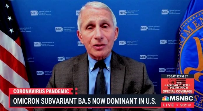 in-the-nick-of-time-for-the-midterms:-dr.-fauci:-we-can’t-just-“put-this-pandemic-behind-united-states”-(video)