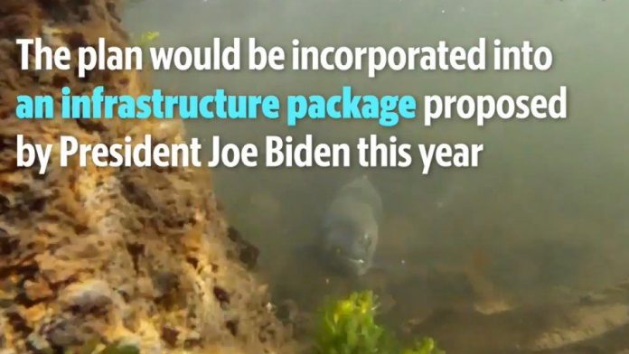 biden-may-choose-salmon-above-americans-which-will-jeopardize-power-supplies-in-the-pacific-northwest