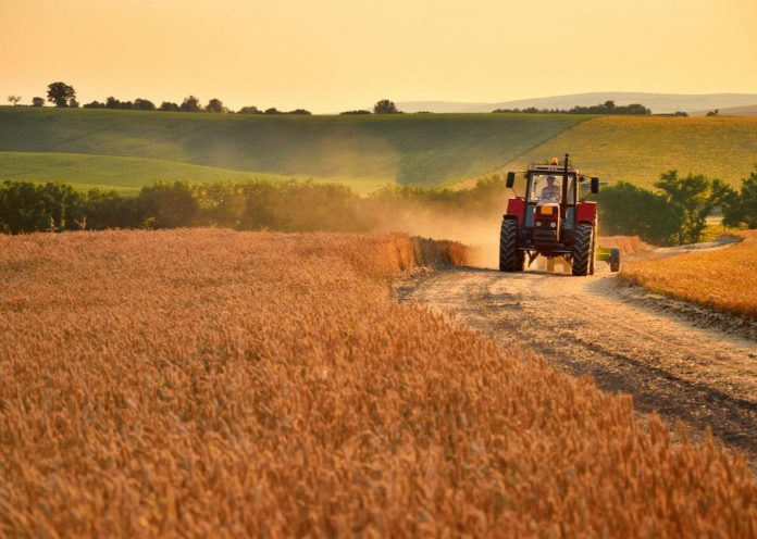 what’s-going-on?-ireland-joins-canada-and-netherlands-and-targets-farmers-with-carbon-emissions-cuts–-further-endangering-global-food-shortages