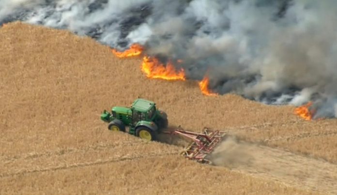 enjoy:-hero-farmer-sees-massive-crop-fire–-gets-in-his-tractor-and-puts-a-stop-to-it