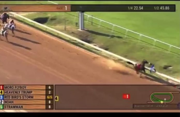 can’t-make-this-up!-horse-named-heavenly-trump-wins-after-lead-horse-hits-the-rail-and-jockey-flips-off-the-rail-onto-track-(video)