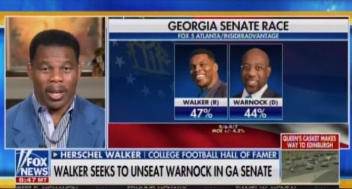 herschel-walker-takes-lead-over-marxist-raphael-warnock–-and-former-football-great-shows-he-is-in-peak-form-in-latest-national-interview-(video)