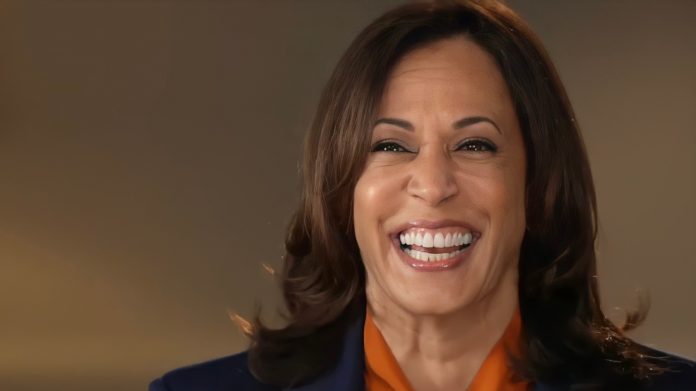 kamala-harris-to-visit-dmz-on-thursday–-but-won’t-visit-open-united-states-border-with-mexico