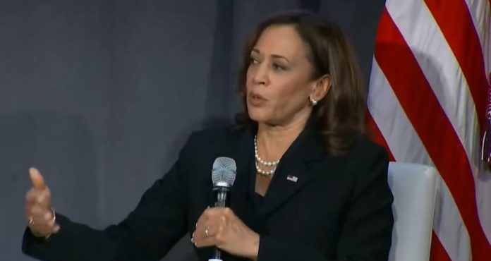 kamala-harris-suggests-hurricane-and-disaster-relief-should-be-based-upon-race-(video)