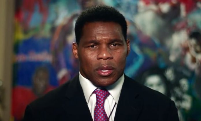 democrat-media-attack-georgia-football-great-and-senate-candidate-herschel-walker–-“he’s-not-black-enough”