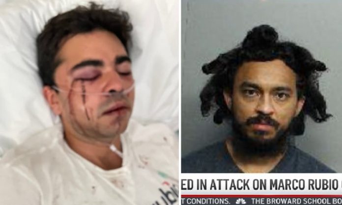 2nd-suspect-arrested-in-brutal-beating-of-gop-canvasser-for-marco-rubio–-kicked-him-the-head-then-sicced-his-german-shepherds-on-him-(video)