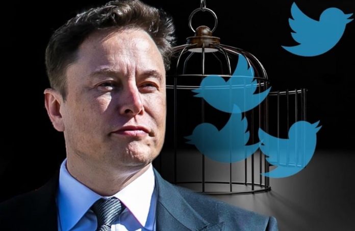 breaking:-elon-musk-officially-owns-twitter–-immediately-fires-ceo-parag-agrawal,-cfo-and-legal-head-vijaya-gadde