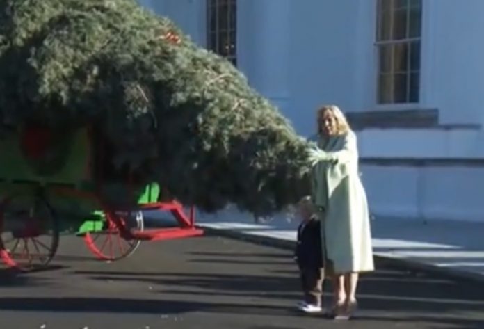 tacky-tacky-tacky.-jill-biden-wears-yellow-gloves-to-white-house-christmas-tree-welcome-ceremony-(video)