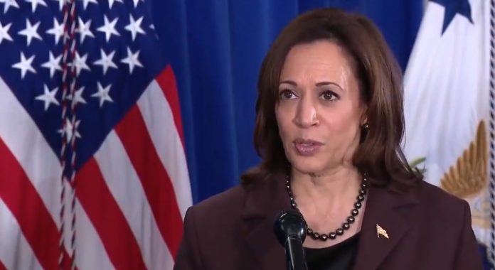 view:-kamala-harris-asked-about-her-future-with-joe-biden-amid-classified-documents-scandal