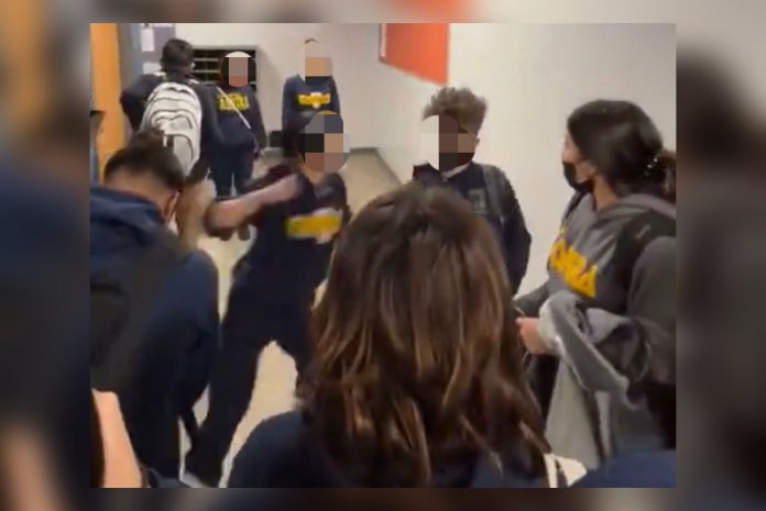 lady-sucker-punches-a-young-white-kid-in-delaware-in-a-viral-video–-school-issues-statement-(video)