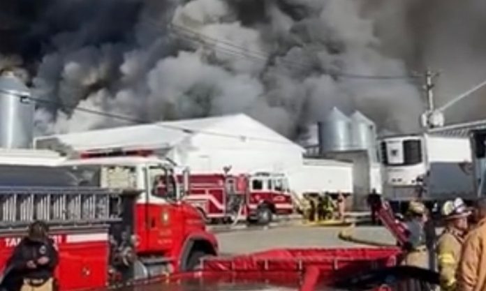 huge-fire-mysteriously-occurs-at-egg-farm-in-connecticut