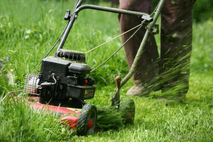 democrats-in-minnesota-now-pushing-for-ban-on-gas-powered-lawnmowers-and-chainsaws