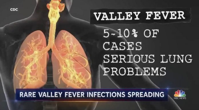 here-we-go:-researchers-warn-of-dangerous-fungal-illness-rapidly-spreading-across-country-‘due-to-climate-change’-(video)