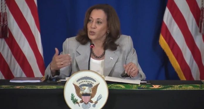 kamala-harris-talks-down-to-business-leaders-in-zambia-(video)