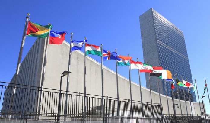 un-issues-report-pushing-for-normalization-and-decriminalization-of-pedophilia