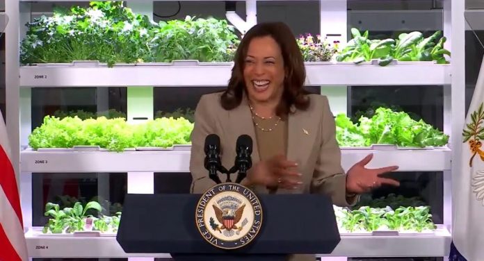 kamala-harris:-“some-of-our-younger-small-business-owners-actually-self-identify-as-entrepreneurs”-(video)