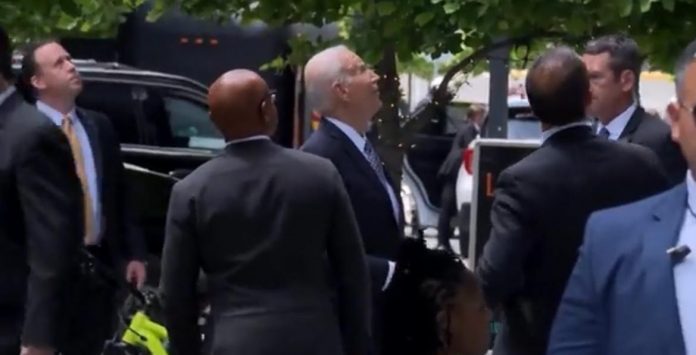 biden-stops-at-taqueria-habanero-in-dc,-randomly-tells-people-“don’t-jump”-(video)