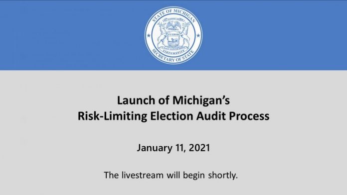 declaration-from-michigan-house-elections-vice-chair:-2020-trump-electors-are-innocent