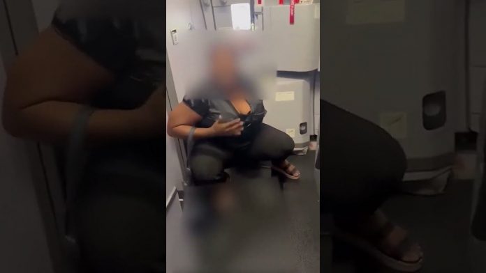 wth?-lady-caught-on-camera-peeing-on-the-floor-of-spirit-airlines-plane–-shouts-‘i-can-not-hold-the-pee!’-(video)