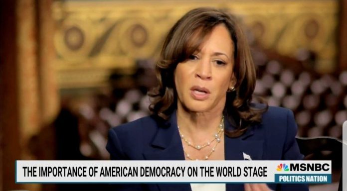 2-peas-in-a-pod.-kamala-harris-talks-to-al-sharpton-about-“what-erosion-of-democracy-will-mean”-(video)