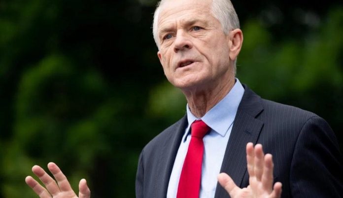 peter-navarro-obliterates-kevin-mccarthy-of-undermining-bill-before-to-thwart-chinese-influence-in-united-states-infrastructure:-“hypocrite-blowdried-ccp-b-*-tch”