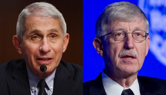 prison-fauci:-recently-released-documents-reveal-dr-fauci-and-dr.-collins-received-at-least-58-vaccine-royalty-payments-from-big-pharma-and-chinese-and-russian-entities