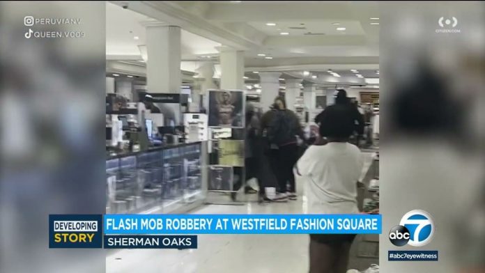 9-masked-smash-and-grab-thieves-ransack-macy’s-in-los-angeles,-shove-stolen-merchandise-in-trashbags-(video)