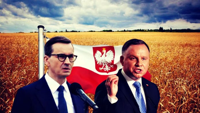 poland-will-unilaterally-extend-ban-on-ukrainian-grain–-warsaw-chose-to-prioritize-its-farmers-over-their-military-allies-from-kiev