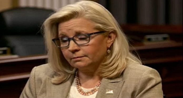 liz-cheney-pokes-her-head-up-and-spouts-off–-says-if-jim-jordan-is-elected-house-speaker-“no-way”-republicans-would-defend-constitution-(video)