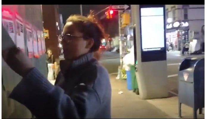 female-in-new-york-is-the-most-recent-jew-hater-caught-on-camera-tearing-down-posters-of-innocent-israeli-hostages