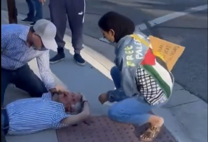 simply-in:-65-year-old-jewish-man-dead-after-pro-palestine-protestor-hit-him-in-the-head-with-megaphone-during-rally-(video)