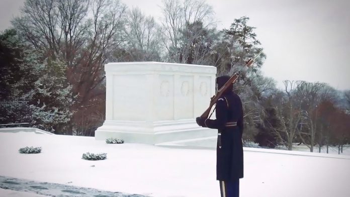 on-this-day-in-history:-november-11,-1921–-the-tomb-of-the-unknown-soldier-was-dedicated-at-arlington-national-cemetery