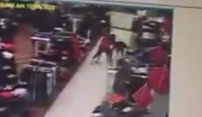 philly:-macy’s-security-guard-stabbed-to-death-by-suspect-with-long-rap-sheet-trying-to-steal-hats-from-store-(video)