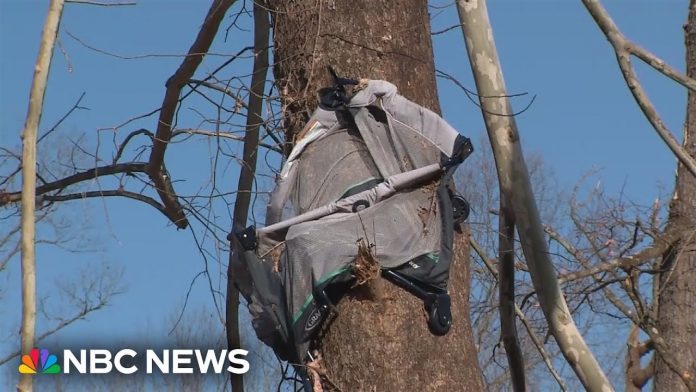 wonder-in-tennessee:-four-month-old-baby-found-alive-in-tree-after-being-swept-up-by-tornado-(video)