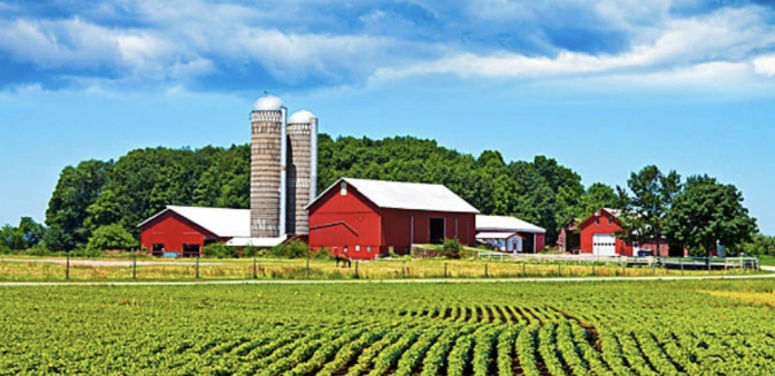 guard-dog-warns-biden-isn’t-keeping-track-of-china’s-takeover-of-us.-farms