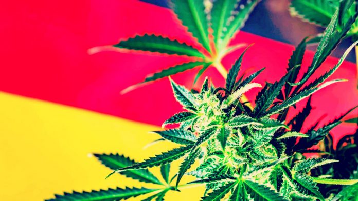 decadent-germany-turns-to-pot,-as-new-legislation-set-to-be-approved-decriminalizing-cannabis-in-the-country