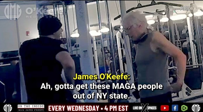 breaking:-o’keefe-media-group-confronts-total-creep-new-york-judge-arthur-engoron-after-sources-tell-him-engoron-frequently-goes-to-gym-and-is-“creeping-girls-out”–-engoron-wears-revealing-sweatpants-and-no-underwear?-(video)