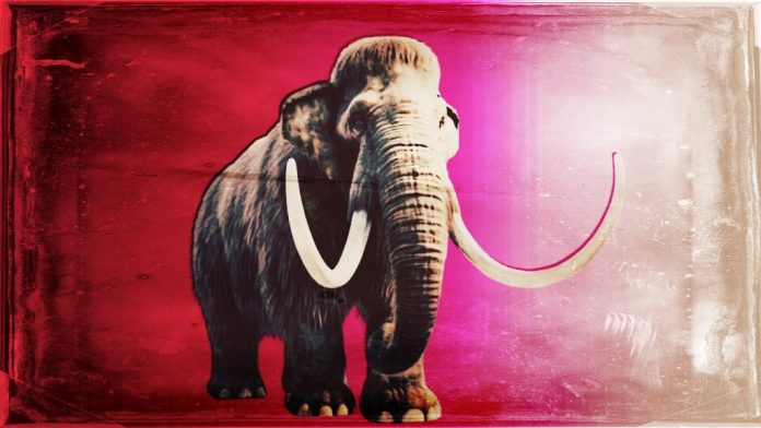 northern-tuskers:-scientists-one-colossal-step-closer-to-‘de-extinction’-of-the-wooly-mammoth–-but-why?