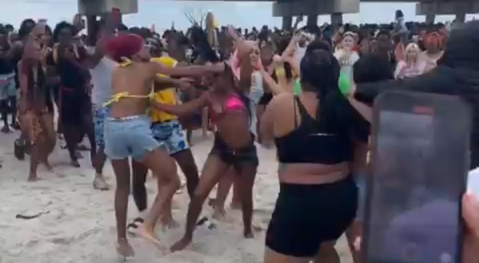 wigs-and-weaves-go-flying-in-wild-spring-break-brawl-in-florida-(video)