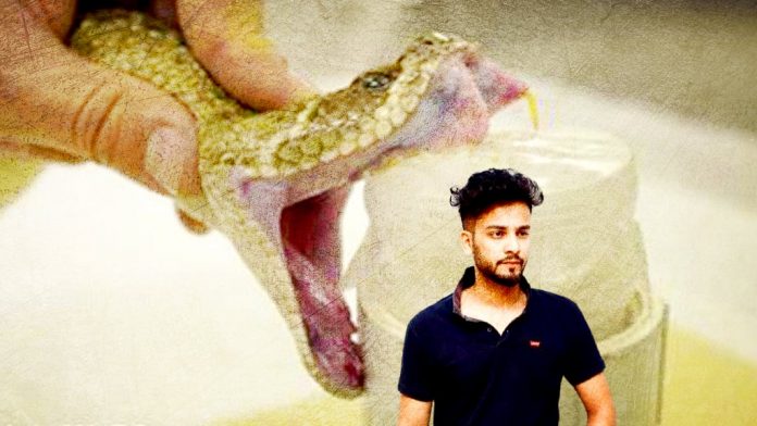 indian-youtuber-arrested-for-supplying-snake-venom-to-be-used-as-drug-in-rave-parties