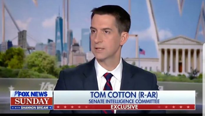 sen.-tom-cotton:-“i’m-deeply-worried-that-isis-from-afghanistan-will-end-up-targeting-americans-sooner-rather-than-later”-(video)