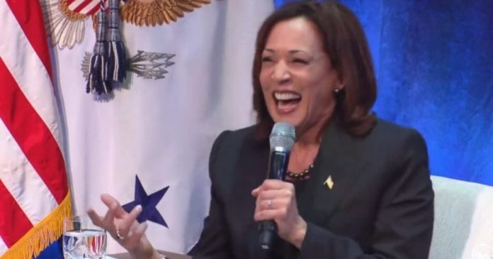 current-focus-groups-suggest-that-no-one-likes-kamala-harris-or-wants-her-to-take-over