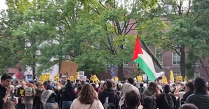 republican-politician-introduces-bill-that-would-send-anti-israel-campus-protesters-to-gaza-for-six-months-if-found-guilty-of-illegal-activity