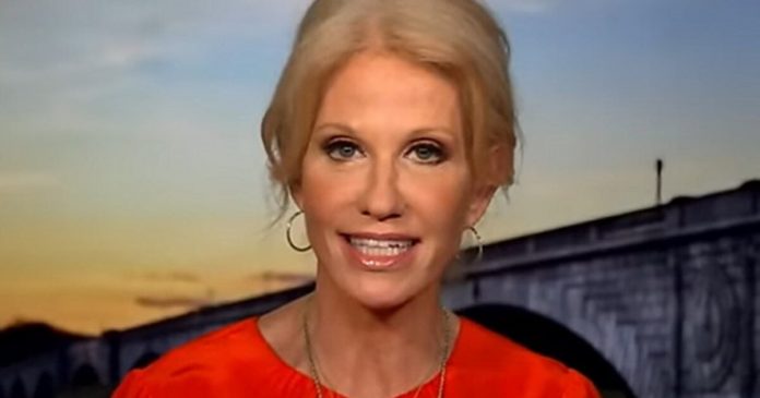 kellyanne-conway-explains-how-joe-biden-lost-independent-voters-(video)