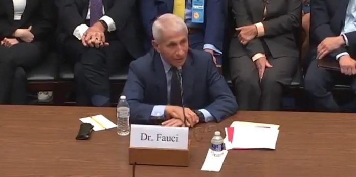 see:-fauci-trashes-conservative-media,-says-the-unvaccinated-were-responsible-for-200,000-to-300,000-additional-covid-deaths