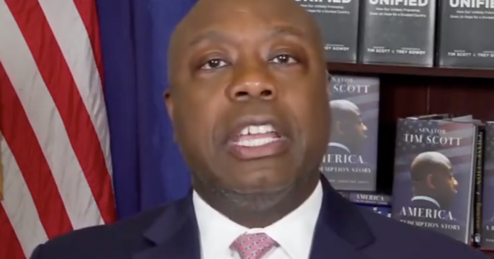 disqualifying:-sen.-tim-scott-stands-by-certifying-joe-biden’s-2020-election-‘victory,’-affirms-turncoat-mike-pence-did-the-‘right-thing’-(video)